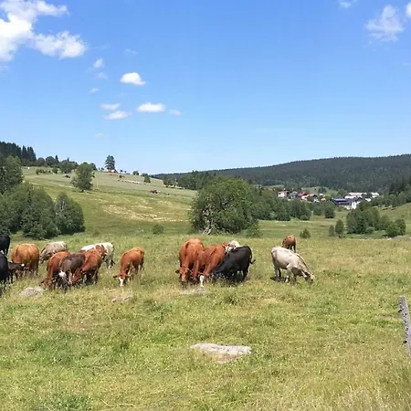 Apartmán Pod Lapkou