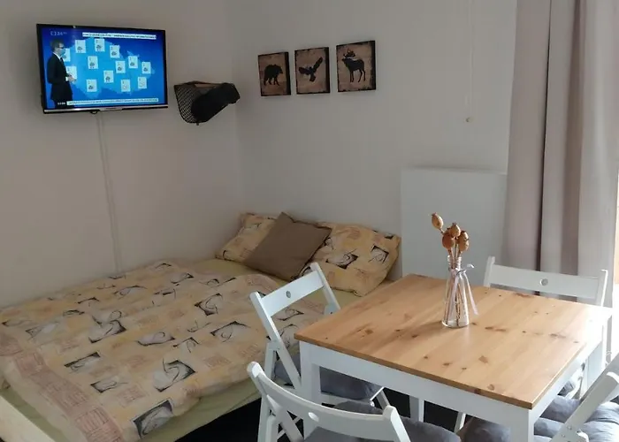 Apartmán Pod Lapkou *