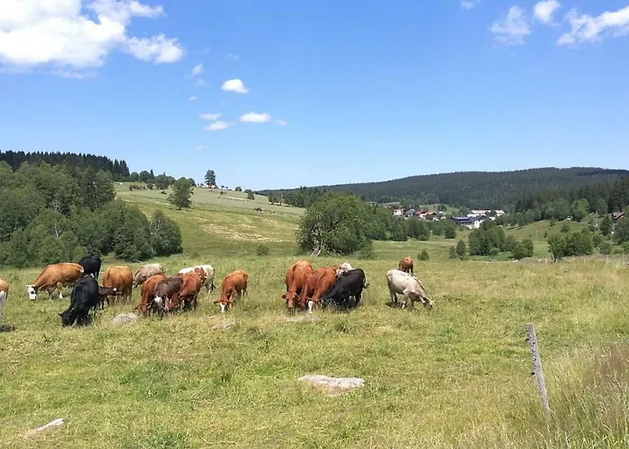 Apartmán Pod Lapkou